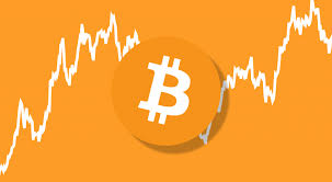 Cryptocurrency portfolio allocation